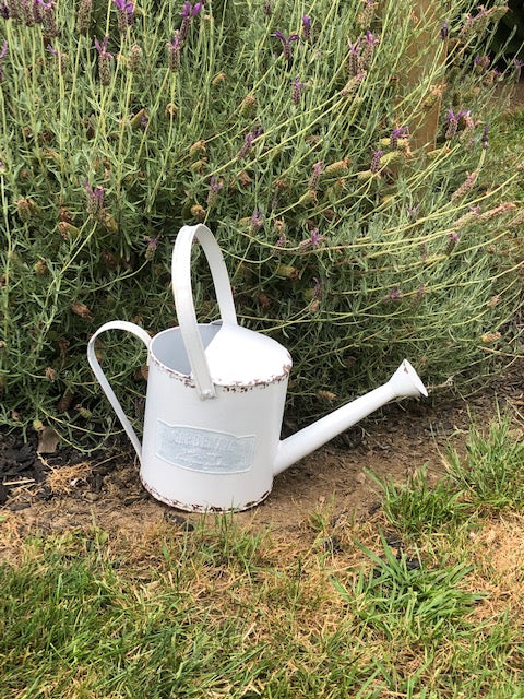 Rustic white ornamental watering can