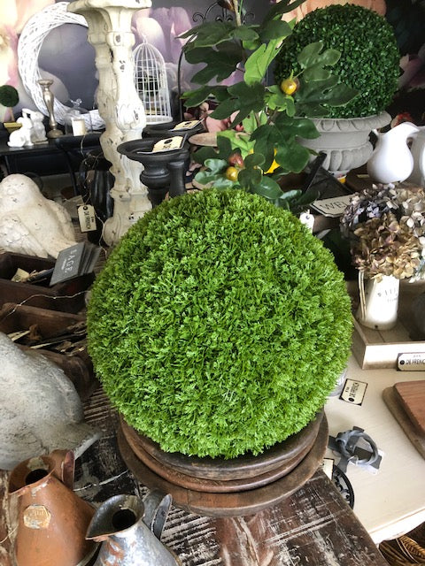 Topiary Ball - Conifer