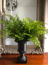 Load image into Gallery viewer, Maidenhair fern stems
