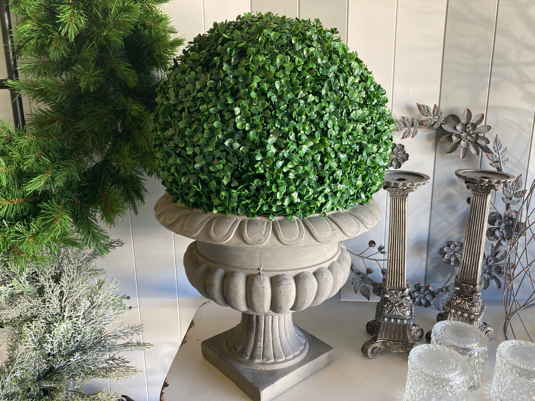 Topiary Ball - Boxwood