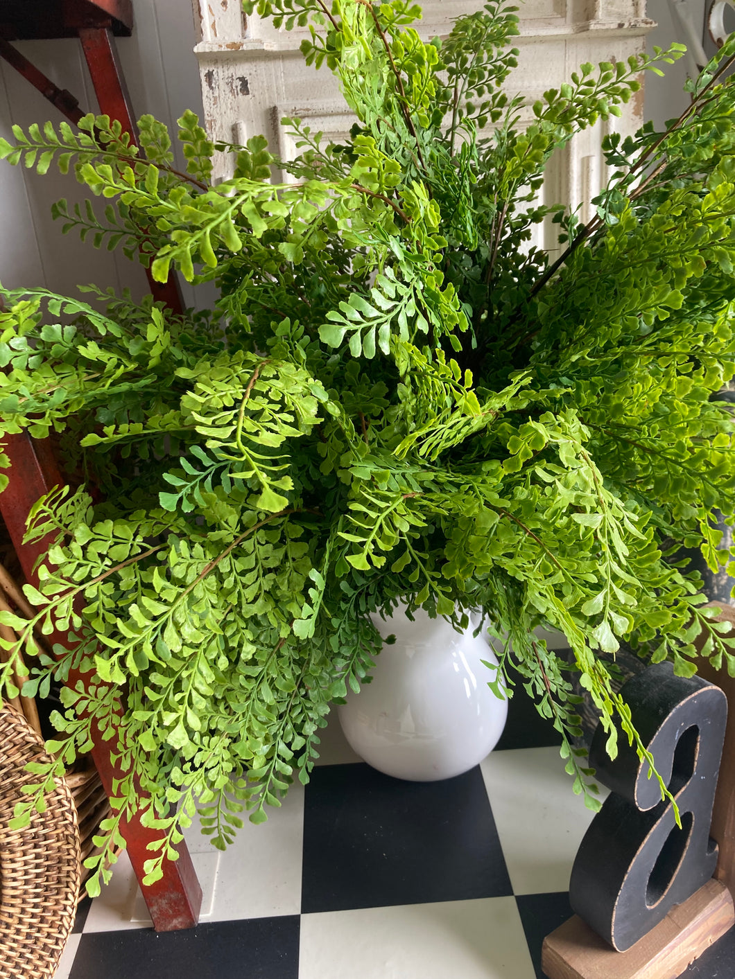 Maidenhair fern stems